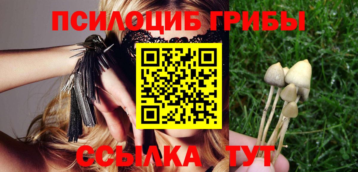 Лесозаводск  Псилоцибиновые грибы ЛСД  дарнет шоп  Вход с VPN 